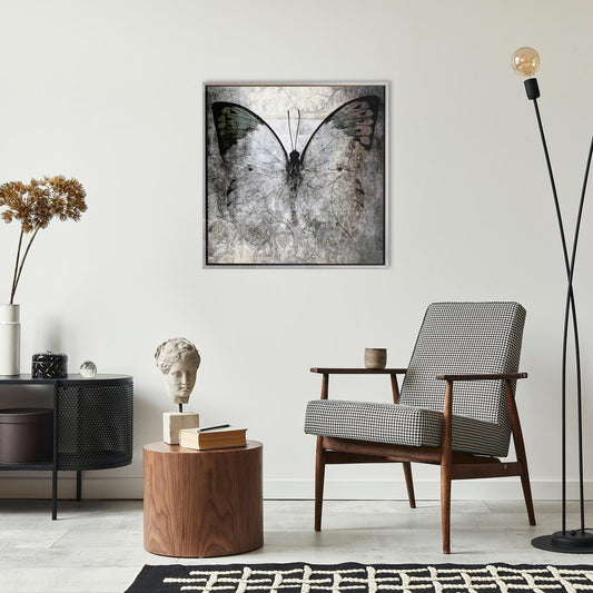 Tableau sur toile avec cadre creux - Papilio 50x50cm
