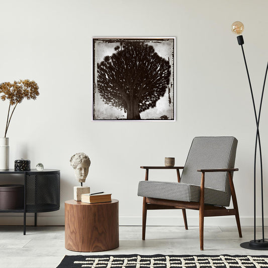 Tableau sur toile avec cadre creux - Lignum 50x50cm