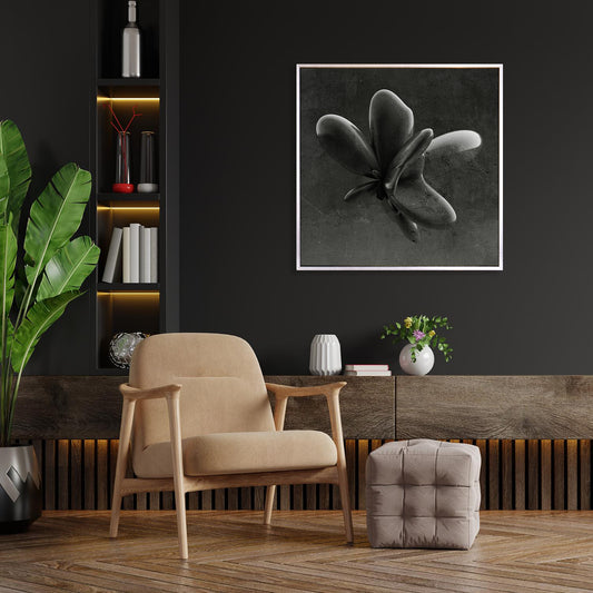 Tableau sur toile avec cadre creux - Feima 50x50cm