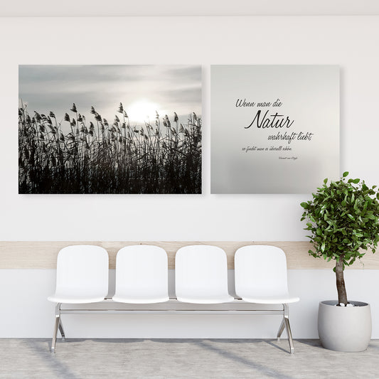 Leinwandbild - Natur wahrhaft lieben 4 - Einrichtungsbeispiel Foto
