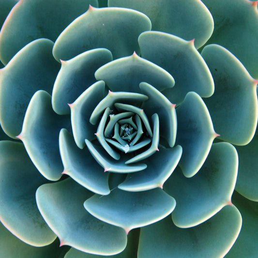 Kissenbezug - Sanam Detail