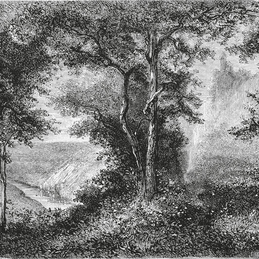 Kissenbezug - Uniti Detail