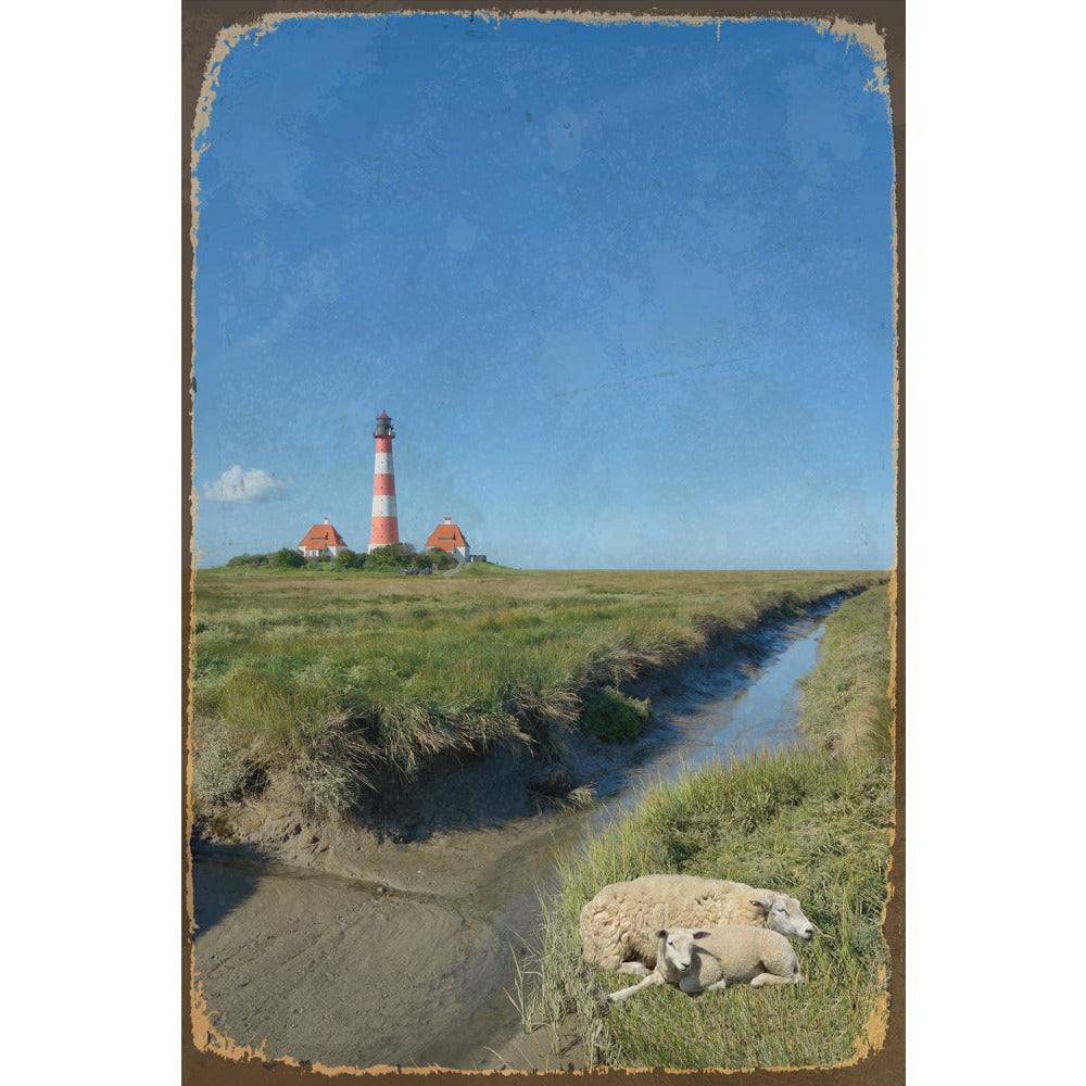 Blechschild - Sheeps