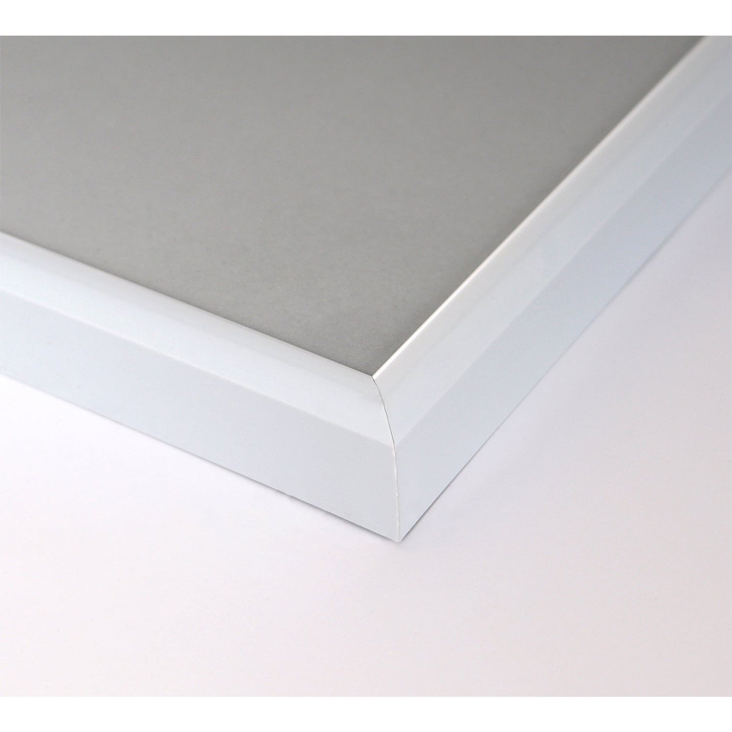 Rahmenbild - Magnolienbaum Detail