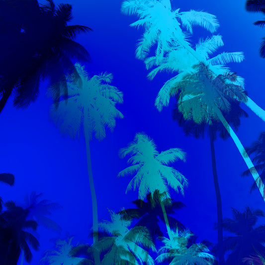 Acrylglasbild - Palms Blau