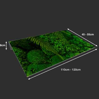 Lichtschachtabdeckung – Grüne Pflanzen