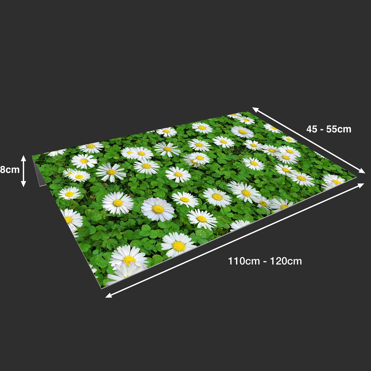 Lichtschachtabdeckung – Gänseblümchen