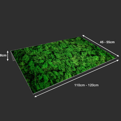 Lichtschachtabdeckung – Moos