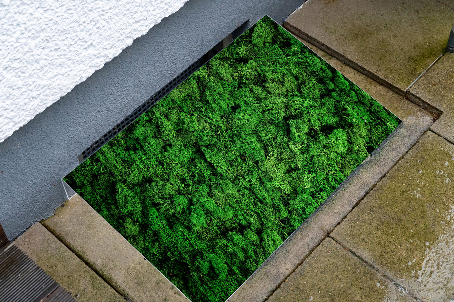 Lichtschachtabdeckung – Moos