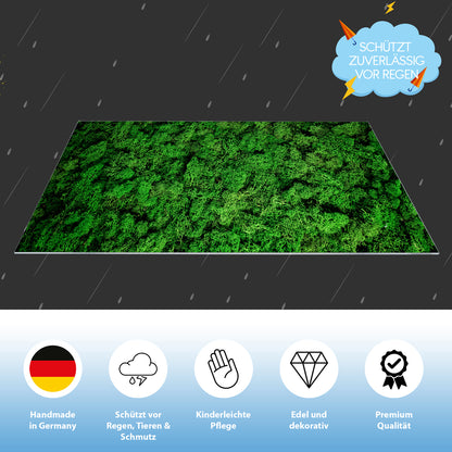 Lichtschachtabdeckung – Moos