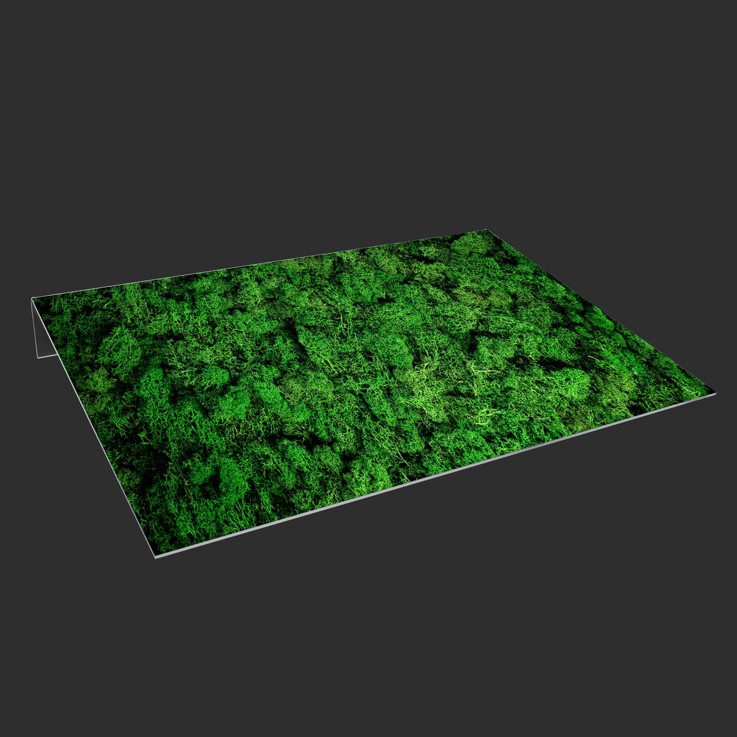 Lichtschachtabdeckung – Moos