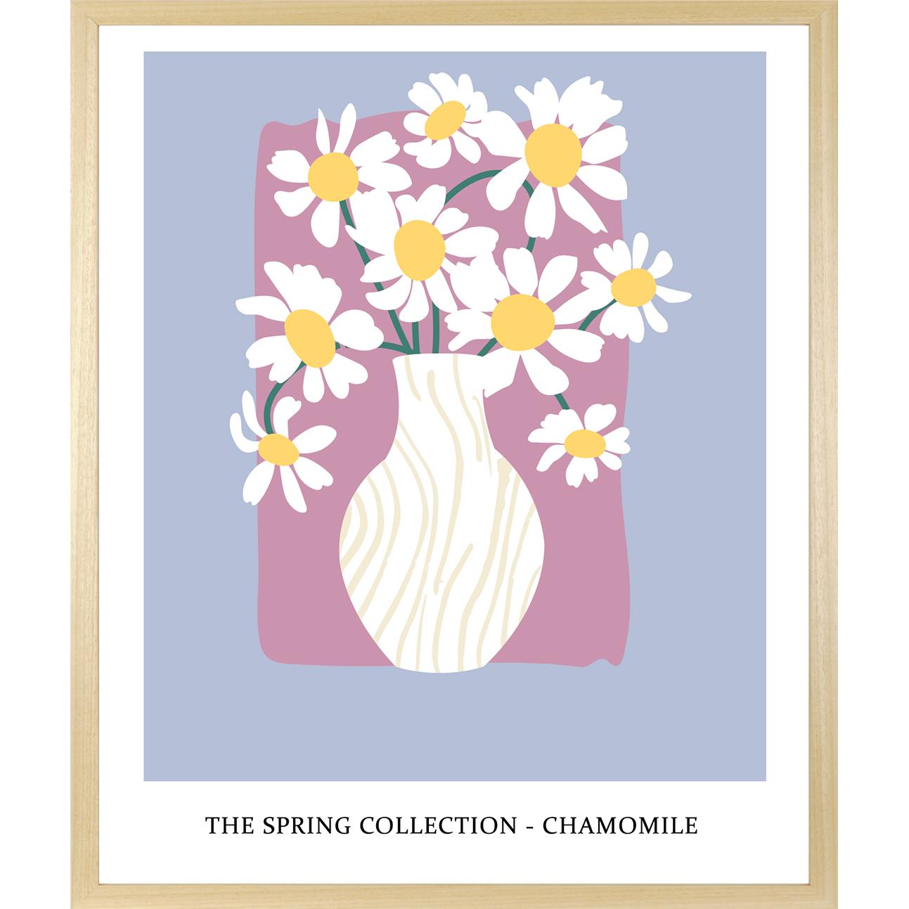 Rahmenbild - The Spring Collection Chamomile