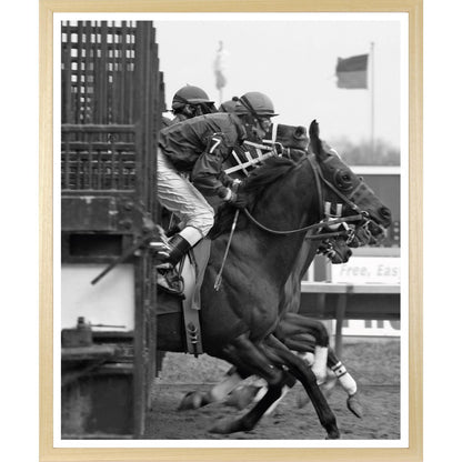 Rahmenbild - Pferderennen Schwarz Weiß
