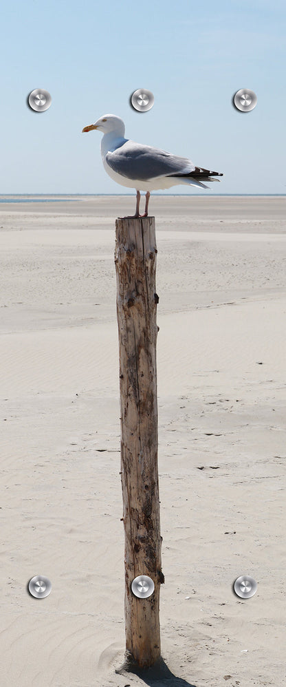 Garderobe - Möwe auf Stamm