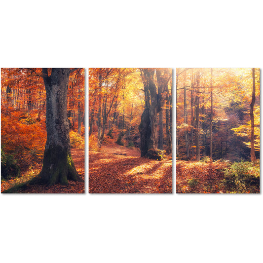 Aluminiumbild Autum Forest 3er-Set