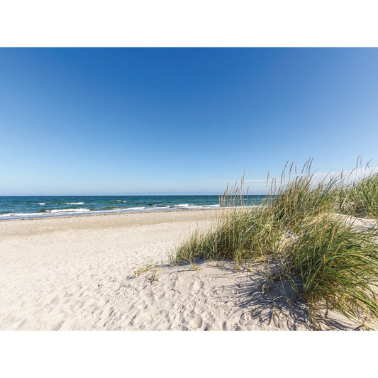 Magnetisches Markerboard - Beach