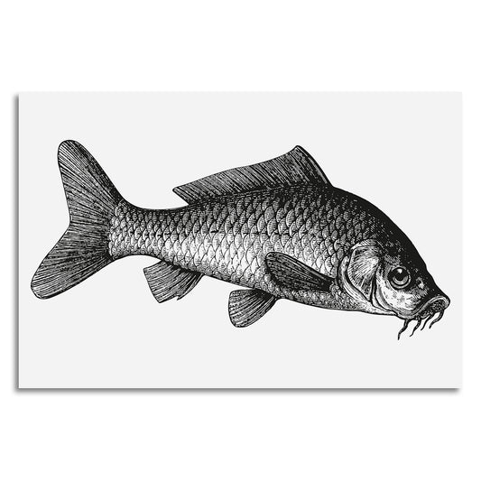 Leinwandbild - Carp